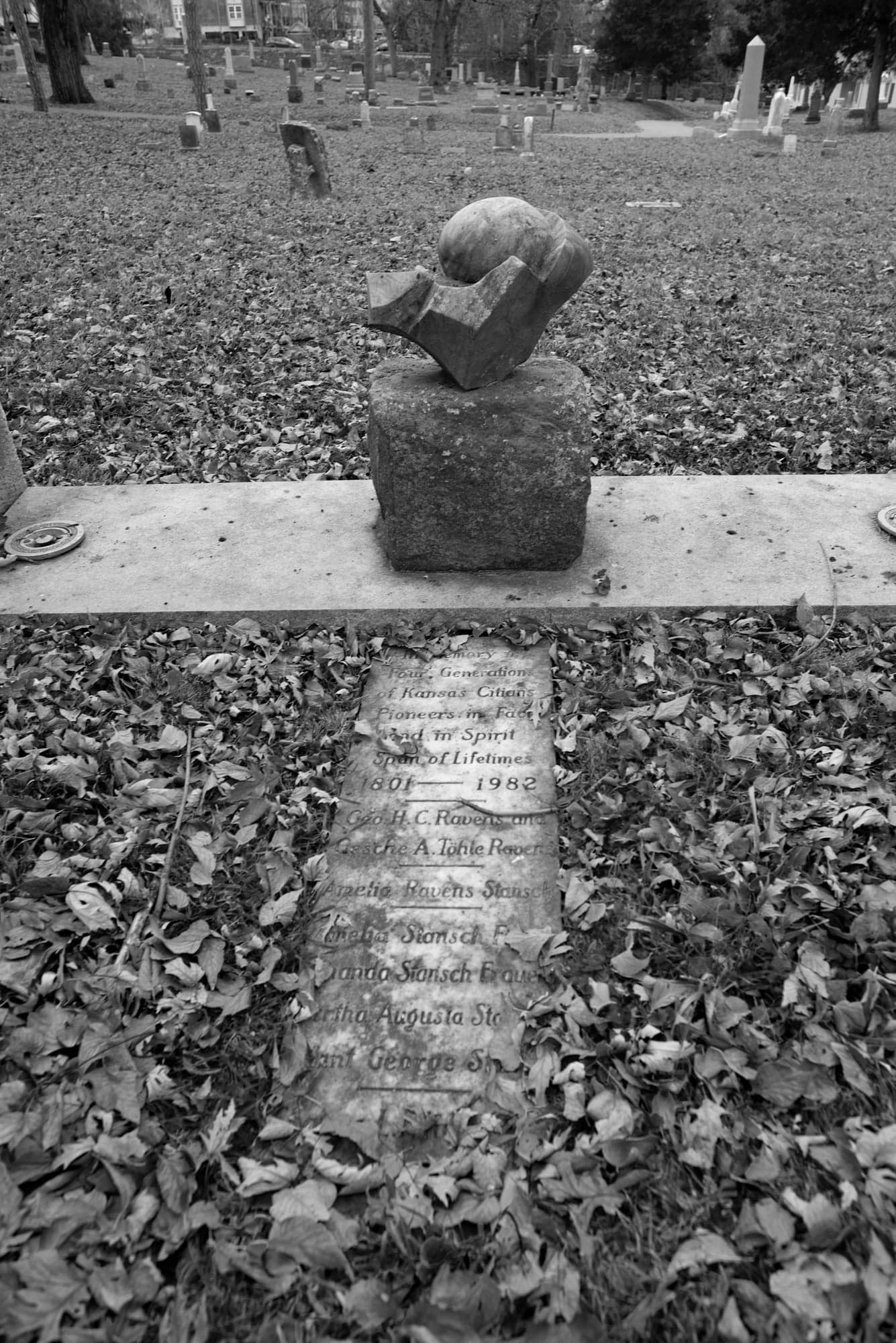 Stone, Fallen Leaves