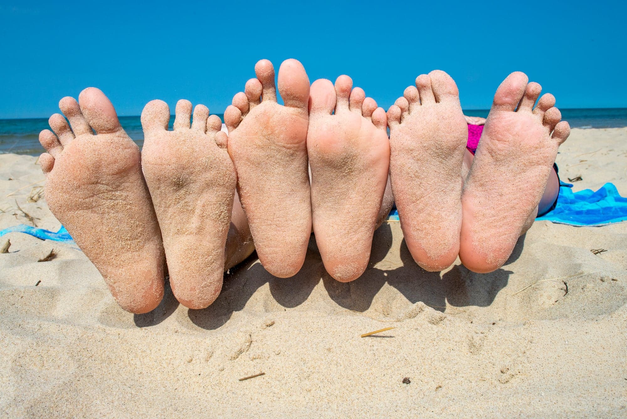 Sandy Soles, Shoreline