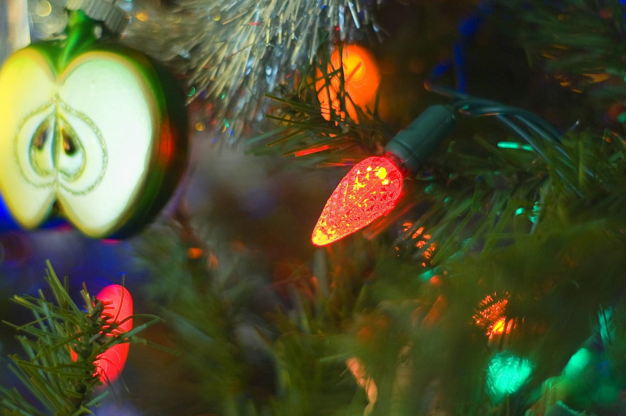 Christmas Tree, Close Up