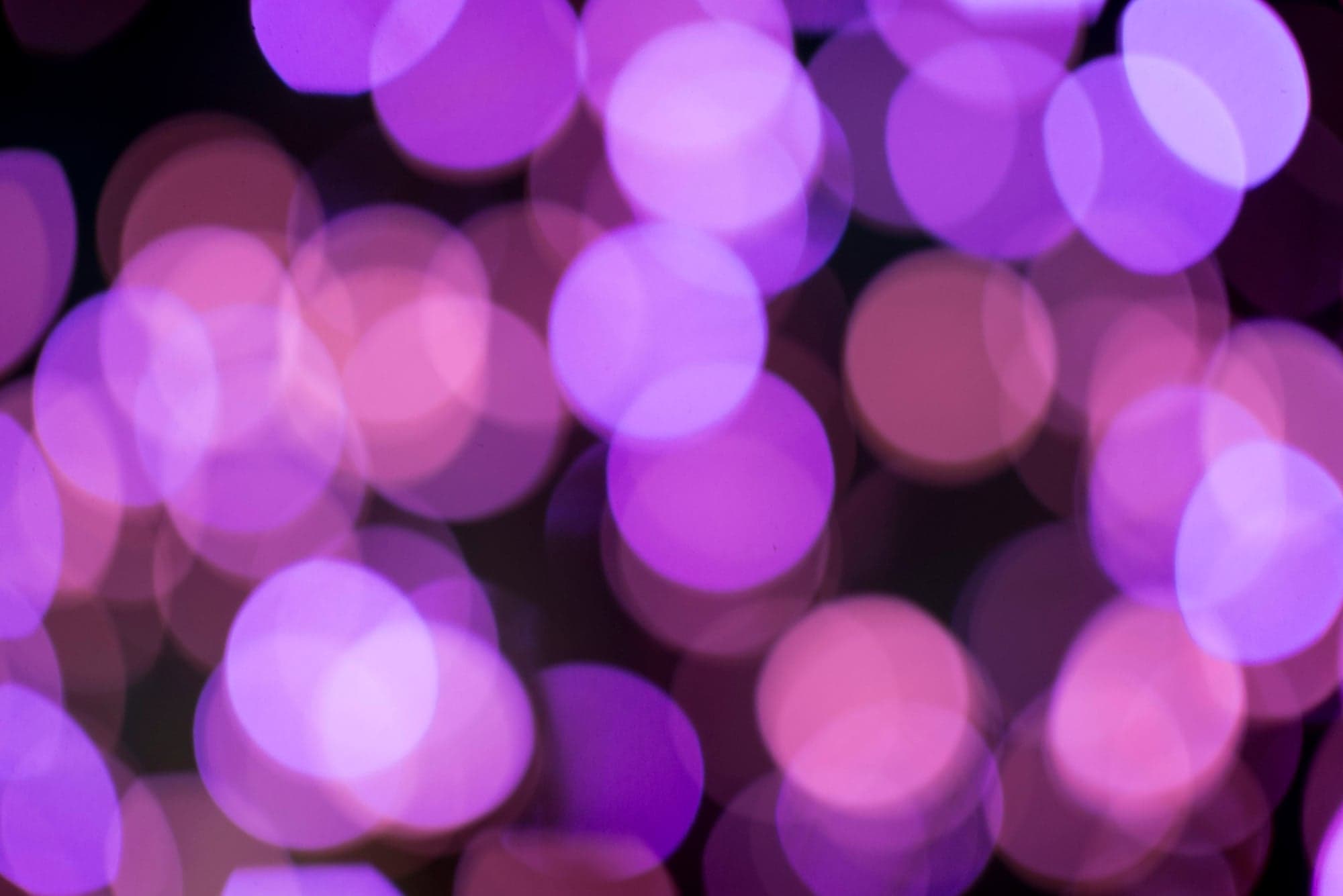 Purple Bokeh Bloom