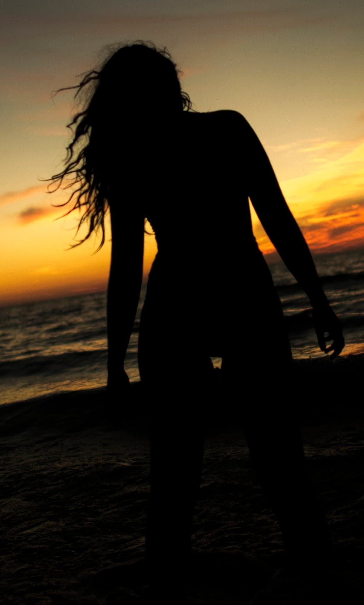 Silhouette Against Burning Horizon