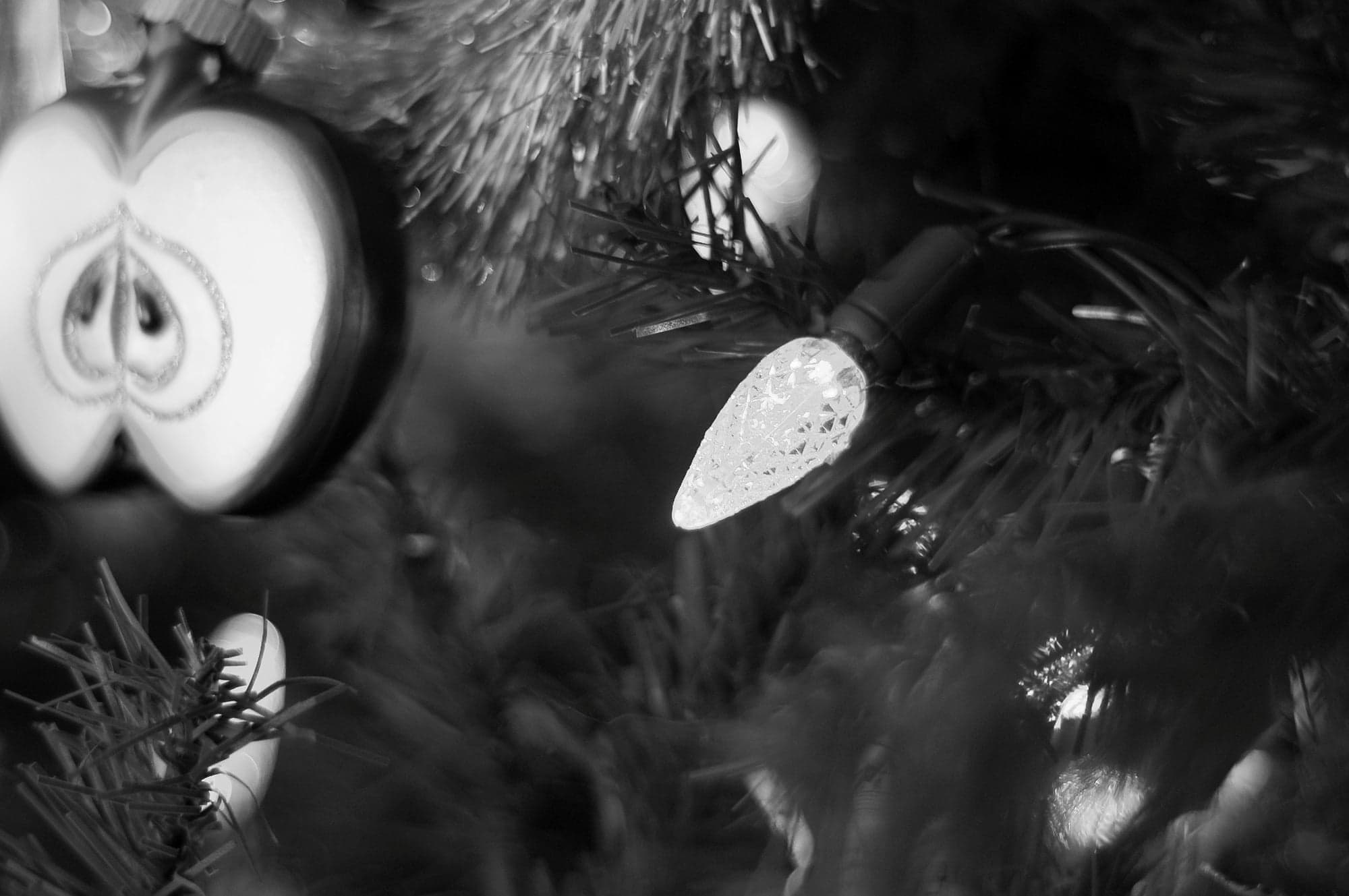 Tree Light, Close