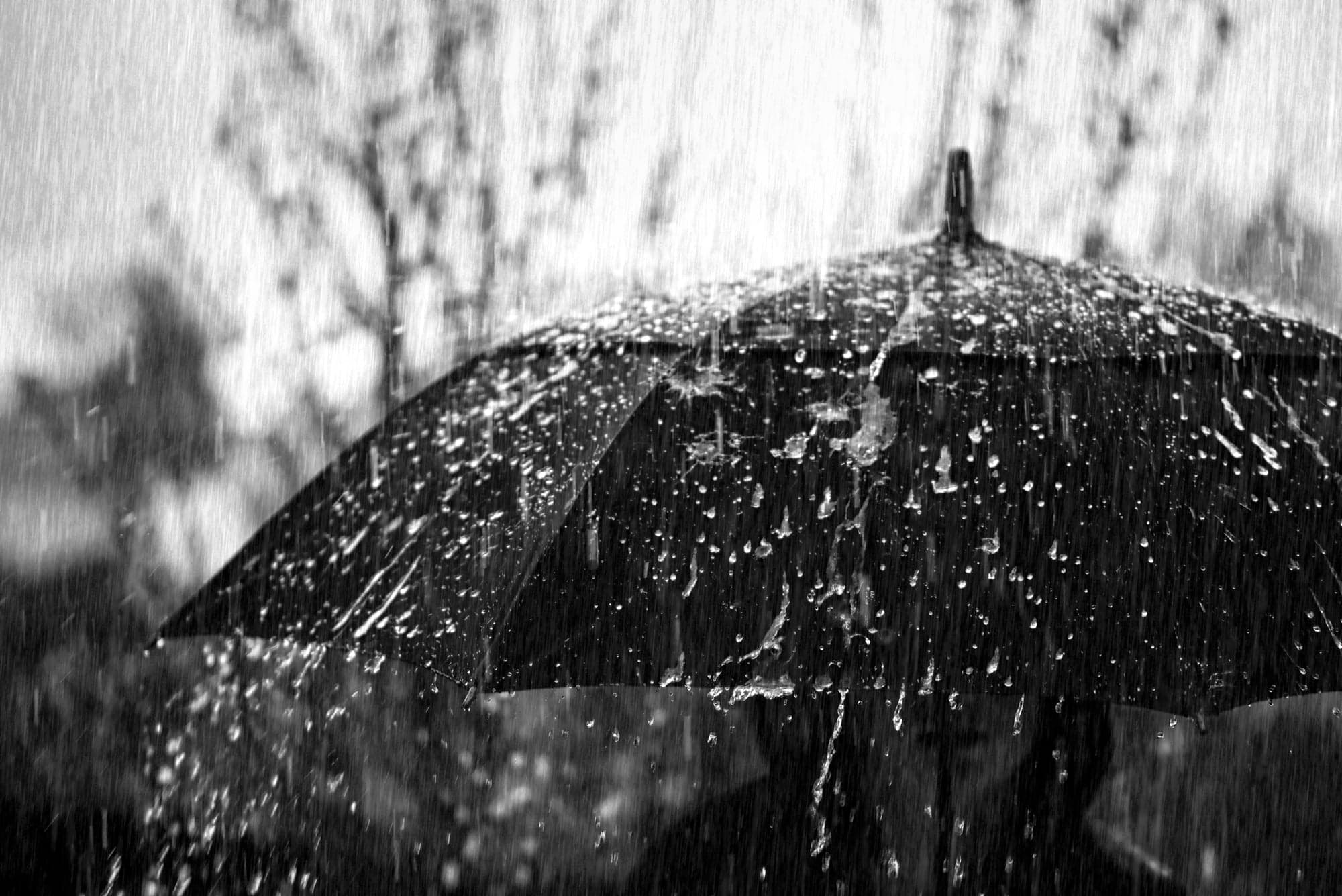 Umbrella, Heavy Rain